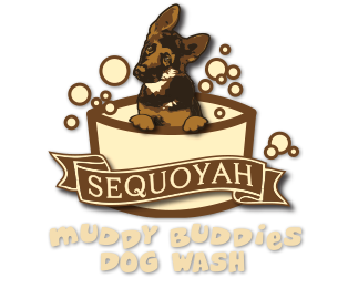 Sequoyah Muddy Buddies Dog Wash